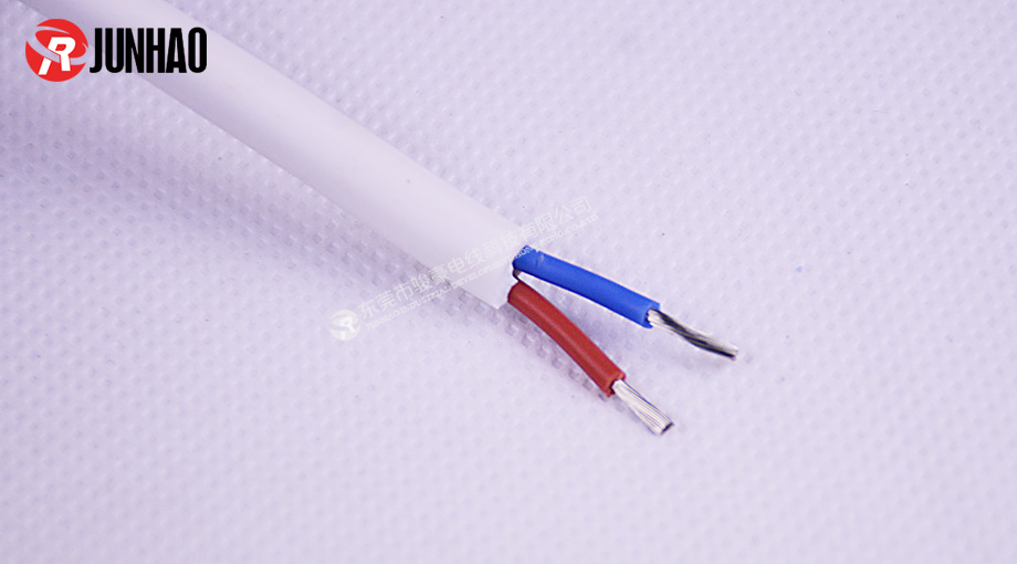 耐高溫白色二插電源線產品圖