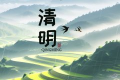 關(guān)于我司2025年清明節(jié)放假通知！